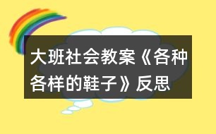 大班社會(huì)教案《各種各樣的鞋子》反思