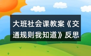 大班社會(huì)課教案《交通規(guī)則我知道》反思