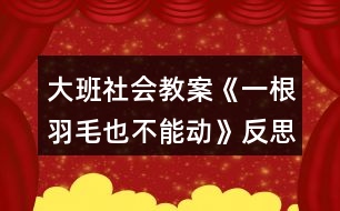 大班社會教案《一根羽毛也不能動》反思