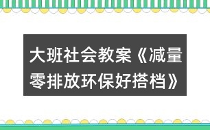 大班社會教案《減量零排放環(huán)保好搭檔》垃圾分類環(huán)保反思