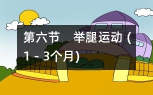 第六節(jié)　舉腿運(yùn)動 (1－3個月)