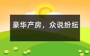 豪華產(chǎn)房，眾說紛紜