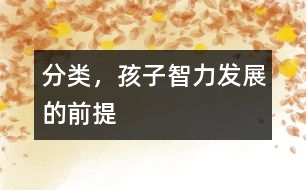 分類，孩子智力發(fā)展的前提