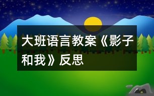 大班語言教案《影子和我》反思