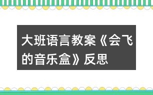 大班語言教案《會(huì)飛的音樂盒》反思