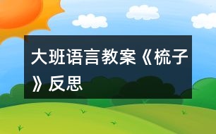 大班語(yǔ)言教案《梳子》反思