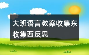 大班語言教案收集東收集西反思