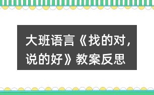 大班語言《找的對，說的好》教案反思