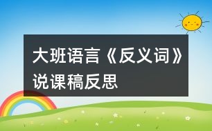 大班語言《反義詞》說課稿反思