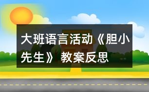 大班語(yǔ)言活動(dòng)《膽小先生》 教案反思