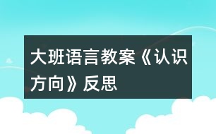 大班語言教案《認(rèn)識方向》反思