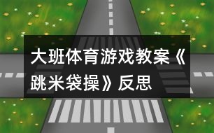 大班體育游戲教案《跳米袋操》反思