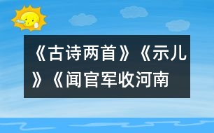 《古詩(shī)兩首》《示兒》、《聞官軍收河南河北》教學(xué)設(shè)計(jì)之一