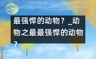 最強(qiáng)悍的動(dòng)物？_動(dòng)物之最：最強(qiáng)悍的動(dòng)物？