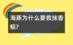 海豚為什么要救抹香鯨?