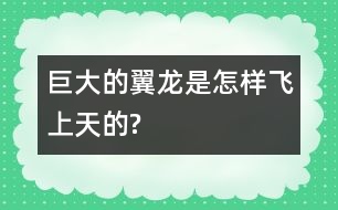 巨大的翼龍是怎樣飛上天的?