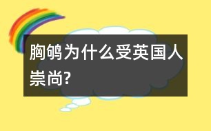 胸鴝為什么受英國(guó)人崇尚?