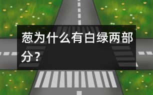 蔥為什么有白、綠兩部分？