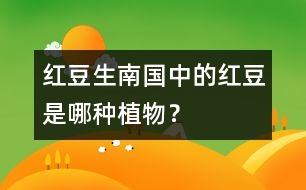 “紅豆生南國”中的紅豆是哪種植物？