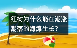 紅樹為什么能在潮漲潮落的海灘生長？