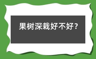 果樹深栽好不好？