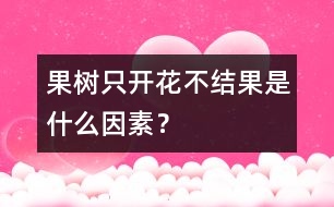 果樹只開花不結(jié)果是什么因素？