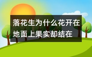 落花生為什么花開(kāi)在地面上,果實(shí)卻結(jié)在地下？