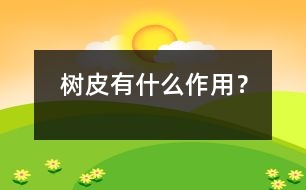 樹皮有什么作用？