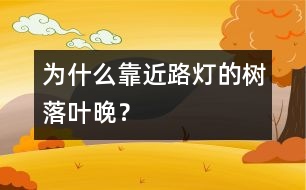為什么靠近路燈的樹落葉晚？