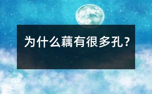 為什么藕有很多孔？