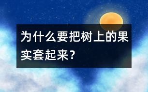 為什么要把樹(shù)上的果實(shí)套起來(lái)？