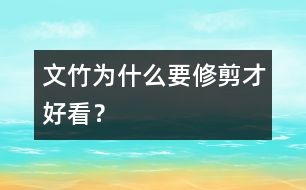 文竹為什么要修剪才好看？