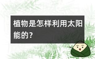 植物是怎樣利用太陽能的？