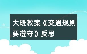 大班教案《交通規(guī)則要遵守》反思