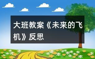 大班教案《未來的飛機》反思