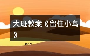 大班教案《留住小鳥(niǎo)》