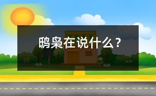 鴟梟在說什么？